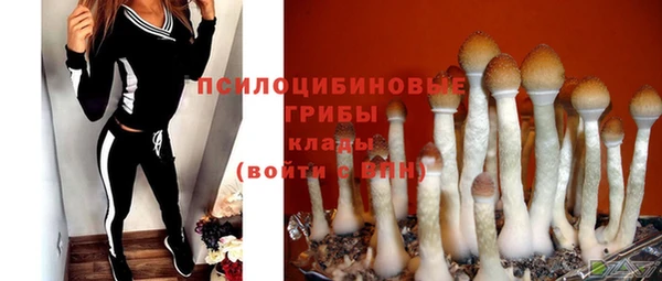 трава Магадан
