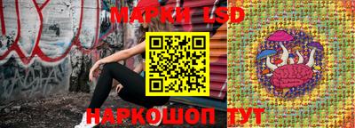 крисы Абакан
