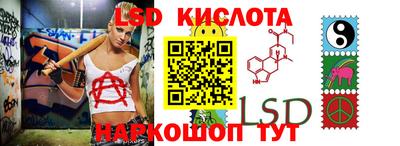 спайс Гай