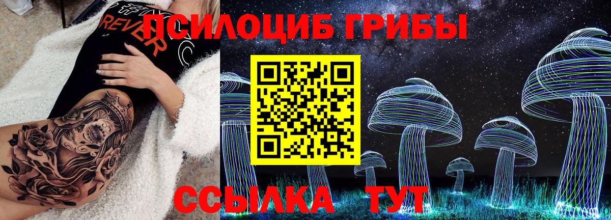 Елабуга  Псилоцибиновые грибы Magic Shrooms  Вход с VPN 