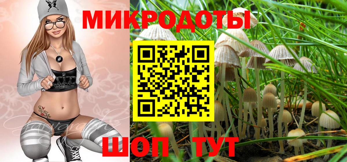 Галлюциногенные грибы GOLDEN TEACHER  Елабуга 