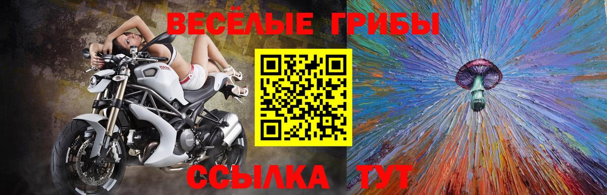 Меф Елабуга